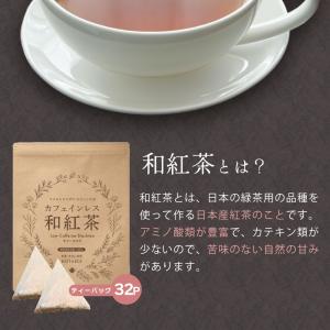 お中元 2026 ギフト カフェインレス 和紅...の詳細画像3