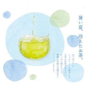 水出し 緑茶 ティーバッグ 5g×20個 深蒸...の詳細画像2