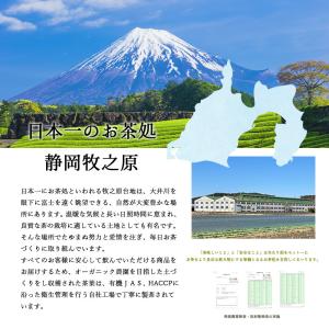 水出し 緑茶 ティーバッグ 5g×20個 深蒸...の詳細画像3