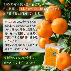 冷凍けずりいちご500g・けずりみかん500g...の詳細画像5