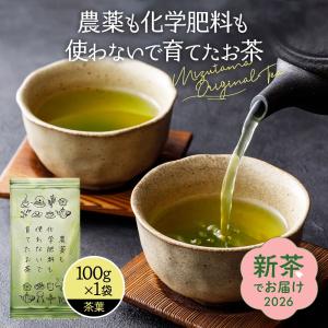 Amway（アムウェイ） 訳あり カテキングリーン 健康緑茶 (40袋