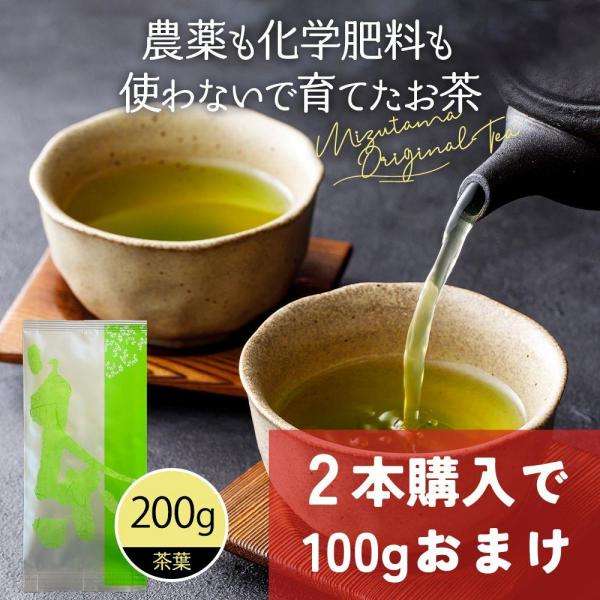 新茶 2024 お茶 2本購入で100gおまけ 農薬不使用 緑茶 茶葉 200g お茶の葉 深蒸し茶...