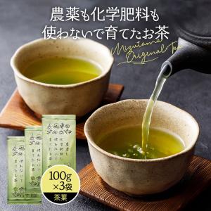 葉桐 お茶 蒼風 そうふう 二番茶100g お茶の葉桐 高機能品種茶煎茶