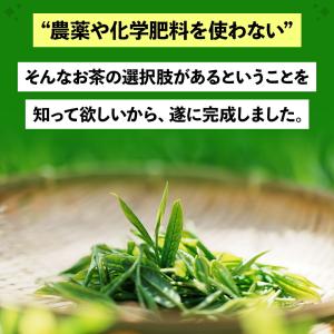 静岡茶 お茶 緑茶 農薬不使用 100g お茶...の詳細画像1