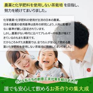 ほうじ茶 お茶 農薬不使用 ティーバッグ 2....の詳細画像4