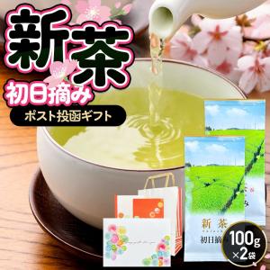 父の日 新茶 2026 静岡茶 母の日 ギフト 初日摘み 100g×2袋 お茶 緑茶 深蒸し茶 高級｜みずたま農園・もぐはぐ農園