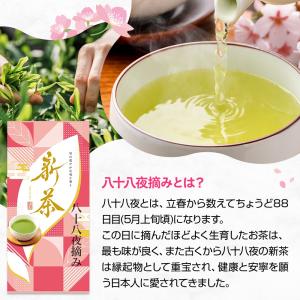 父の日 新茶 2026 静岡茶 ギフト 母の日...の詳細画像1