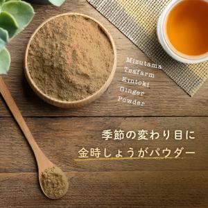 金時生姜パウダー 100g 生姜粉末 国産 し...の詳細画像1