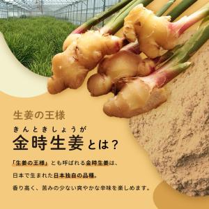 金時生姜パウダー 100g 生姜粉末 国産 し...の詳細画像2