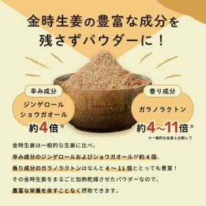 金時生姜パウダー 100g 生姜粉末 国産 し...の詳細画像3