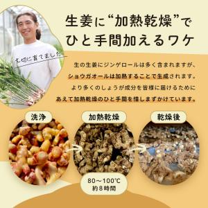 金時生姜パウダー 100g 生姜粉末 国産 し...の詳細画像4