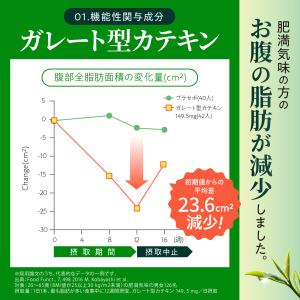 ダイエット茶 ダイエットドリンク のむだけ茶 ...の詳細画像4
