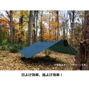DDタープ 4m DD Tarp 4×4 DD...の詳細画像2