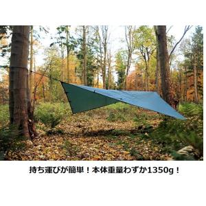 DDタープ 4m DD Tarp 4×4 DD...の詳細画像5