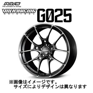 RAYS レイズ ボルクレーシング G025 5/108 19x8.5J +43 マットガン