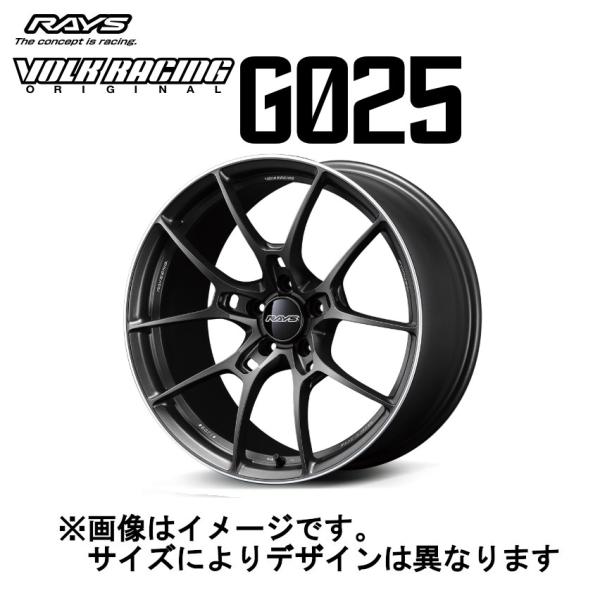 レイズ ボルクレーシング G025 (2本セット) 5/120 19x9.5J +44 マットガンブ...