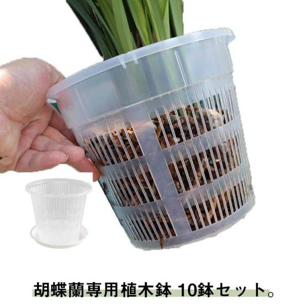 10鉢セット 胡蝶蘭の植え替え 胡蝶蘭 屋内 屋外 穴付き 透明 プラスチック 鉢 植木鉢 植木鉢 ...