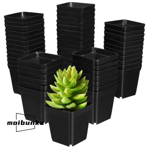 植物鉢 多肉鉢 サボテン鉢 おしゃれ 黒 プラスチック 小さい 四角 50個入り 室内 屋外 庭 卓...