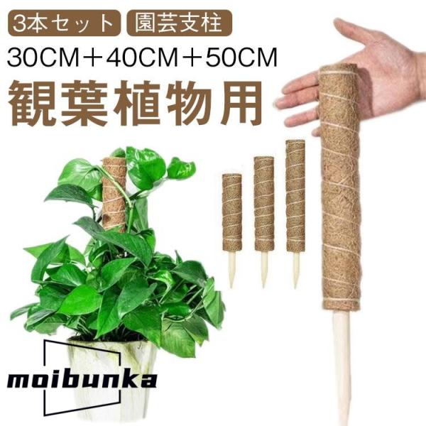 3本セット 園芸支柱 トマト モンステラ 支柱 ココスティック 観葉植物 植物 ガーデニング用 倒れ...