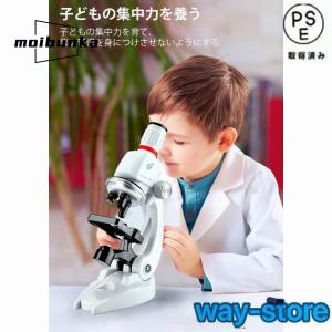 顕微鏡 100?1200倍 標本*48付き 学...の詳細画像1