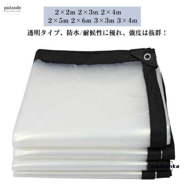 クリア 防水シート ロープ付き 2×2m 2×3m 2×4m 2×5m 2×6m 3×3m 3×4m...