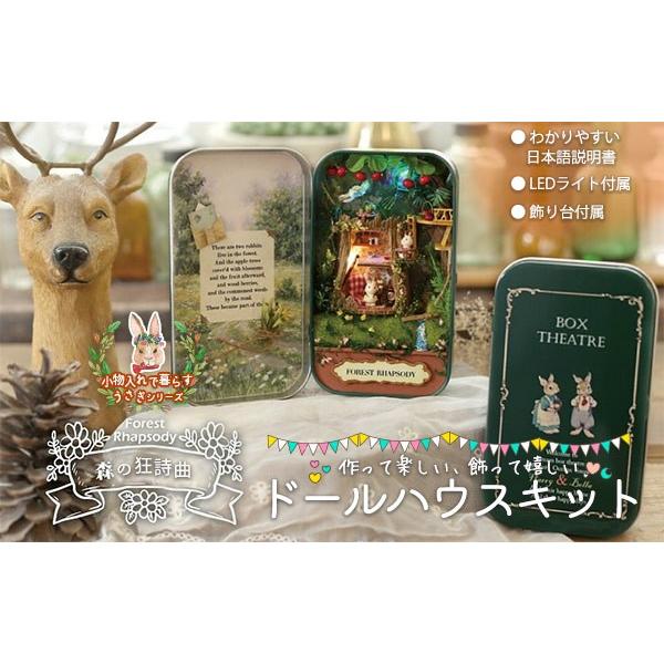 日本語説明書 ドールハウス ミニチュア 手作りキット 小物入れで暮らすうさぎシリーズ 初心者 兎 ギ...