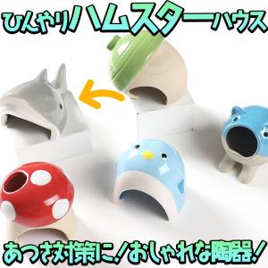 ハムスター 鳥 小動物 ハウスベッド 陶器 ひんやり　夏 暑さ 対策 涼しい 冷却 涼感 アニマル 巣 サメ グレー｜moin-moin