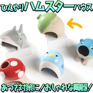 ハムスター 鳥 小動物 ハウスベッド 陶器 ひんやり　夏 暑さ 対策 涼しい 冷却 涼感 アニマル 巣 どんぐり グリーン｜moin-moin