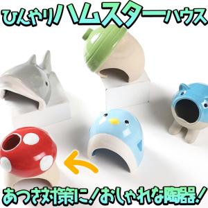 ハムスター 鳥 小動物 ハウスベッド 陶器 ひんやり　夏 暑さ 対策 涼しい 冷却 涼感 アニマル 巣 きのこ レッド｜moin-moin