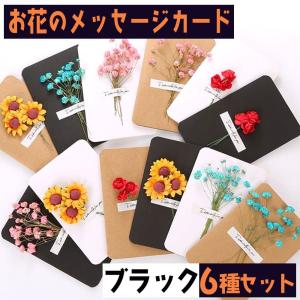 メッセージ カード 6種セット グリーディング 14×9.5cm 手紙 レター ドライフラワー 花 フラワー ブラック ひまわり ローズ カスミソウ おしゃれ シンプル｜moin-moin