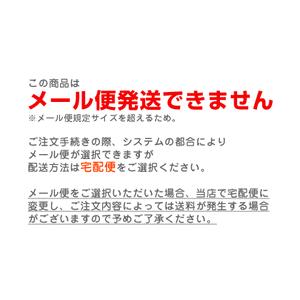 【ネコポス発送不可】ジャンボカラーうちわ(色骨...の詳細画像2