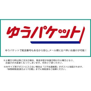 『中粘着』A4サイズ アプリケーションシート(...の詳細画像4