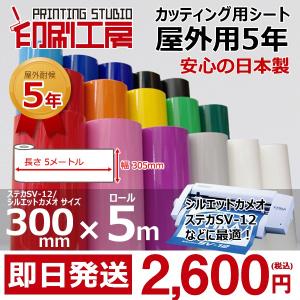 シルエットカメオ2用 300mm×5m 屋外5年 カッティン...