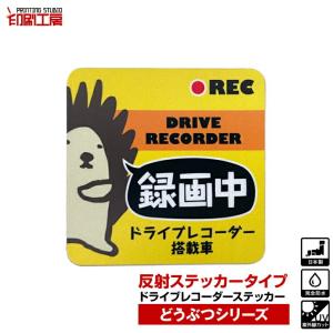 エヴァンゲリオン NERV 蓄光 ドライブレコーダー ステッカー シール