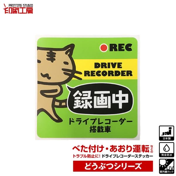 ドライブレコーダーステッカー どうぶつシリーズ『ねこ』 かわいい ドラレコ ステッカー