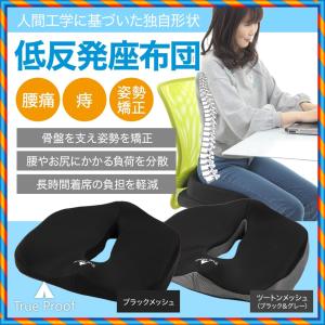 TrueProof(トゥループルーフ) 椅子 骨...の商品画像