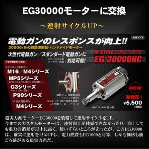 EG30000モーターへの交換｜mokei-paddock