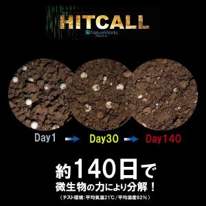 【8/25(火)5%OFFクーポン】【メール便...の詳細画像2