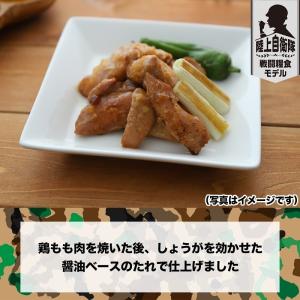 日本ハム 陸上自衛隊 戦闘糧食モデル 防災食や...の詳細画像1
