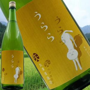 【南郷 純米吟醸 うらら 1800ml】 低温でじっくり醸した爽やかな香りとなめらかな喉越し　刺身と冷酒で 毎日の晩酌に 矢澤酒造店 福島の日本酒 精米歩合55%