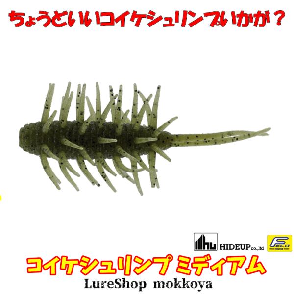 コイケシュリンプ ミディアム（エコ対応品）　Coike Shrimp Medium　ハイドアップ　H...