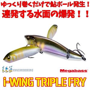 Megabass メガバス アイウィング トリプルフライ : Japan Bass