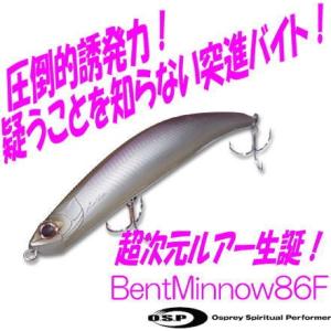 バスデイ　ジップベイツ　他　ルアー 10個　まとめ売り ZIP BAITS（ジップベイツ） バスデイ 鱒屋 ペレットペレット SS ゆう