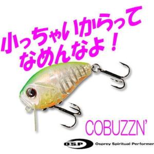 【コレクション放出】★新品未使用 ジャッカル バスルアーセット No.2 バスルアーセット JACKALL×かめや釣具 バスルアー No.2 : かめや