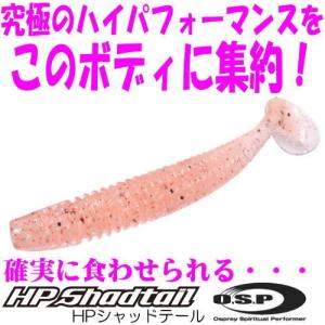 VAGABOND（ヴァガボンド） サーフェイススティック SS 5.6-III