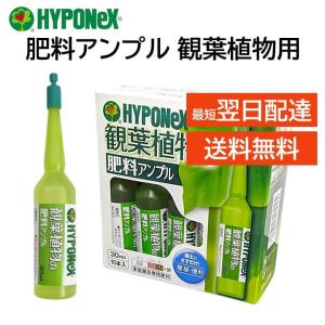 ハイポネックス アンプル 肥料 観葉植物用 30ml 10本入り 簡単 便利 緑を鮮やかに丈夫 植木鉢 プランター 玄関 室内 ガーデニング 栄養剤 HYPONeX｜mokku-shop