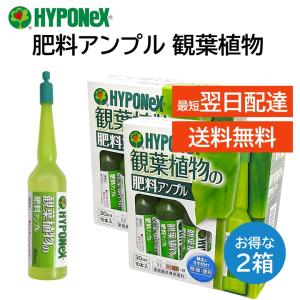 ハイポネックス アンプル 肥料 ２個セット 観葉植物用 30ml 10本入り 簡単 便利 緑を鮮やかに丈夫 植木鉢 プランター 玄関 室内 ガーデニング 栄養剤 HYPONeX｜mokku-shop