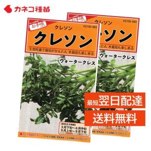 クレソン 種 ２袋 家庭菜園 畑 プランター 栽培が簡単 水栽培も可能 業務用 手軽に作れる ハーブ サラダ 肉料理 付け合わせ ウォータークレス 生産地 オランダ｜mokku-shop