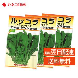 ルッコラ 種 ３袋 家庭菜園 畑 プランター ゴマのような豊かな風味 業務用 イタリア料理 サラダ 肉料理 付け合わせ におすすめ ロケットサラダ 生産地 イタリア｜mokku-shop