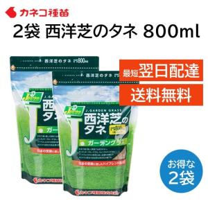 芝 種 芝生 西洋芝 種 ２袋 15平米 4.5坪分 800ml 日本の気候に適した配合 家庭 高品質 初心者の方にもおすすめ DIY 業務用 日陰 カネコ種苗 J ガーデン｜mokku-shop